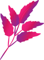 hoja tropical planta diseño gráfico adornado png