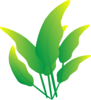 Nature leaf decoration spring decoration png