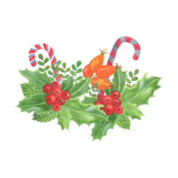 Traditional winter holidays plant, candy canes, dog rose, holly leaves and berries,end of the year celebrations symbol, family and home png