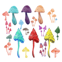 Watercolour mushrooms. Multicoloured. png