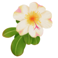 Aquarell einer Pusley-Blume in dekorativen tropischen Blumen png
