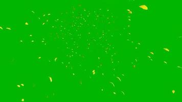 animación de pantalla verde hojas volando video