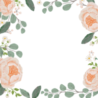 aquarel oranje perzik bloeiende roos boeket krans frame vierkante banner achtergrond png