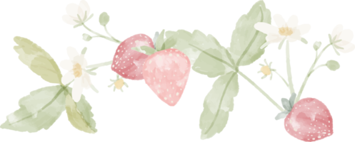 cornice ghirlanda di frutta e fiori di fragola selvatica dell'acquerello png