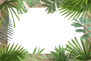 cadre de feuilles de palmier tropical botanique vert sur fond transparent png