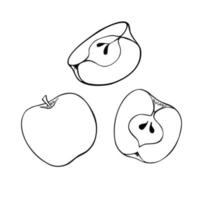 Monochrome set of pictures, fruits, whole apple, half and slice of apple, vector illustration on white background