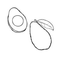 Set of Monochrome pictures , ripe avocado fruit with leaves, half avocado, vector illustration on a white background