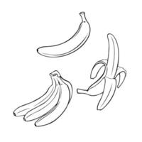 Monochrome set of pictures, tropical fruits, Bunch of ripe bananas, peeled banana, vector illustration on a white background.