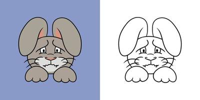 Horizontal picture, Offended, sad rabbit, animal emotions, dissatisfied hare, vector illustration in cartoon style for coloring book