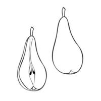 A set of monochrome pictures, a delicious ripe pear, half a pear. Vector illustration on a white background