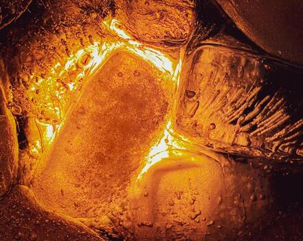 The ice cube shape has been adjusted to add color,It will help refresh and make you feel good. photo