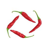 Vector illustration of a red chili pepper, isolated on a white background.