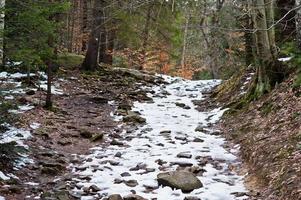 Green forest with little snow cover road in Carpathians mountains. photo