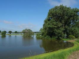 the river rhine near bislich photo