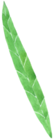 gröna blad akvarell png