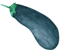 vegetabilisk akvarell handfärg png