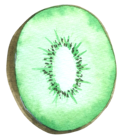 kiwi akvarell handfärg png