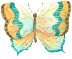 Butterfly watercolor hand paint png