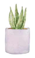 House plant watercolor png