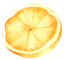 Orangenfrucht-Aquarell-Handfarbe png