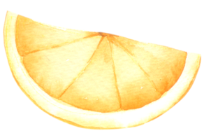 orange frukt akvarell handfärg png