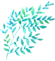 aquarelle élément feuille verte png