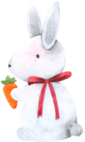cartone animato acquerello coniglio carino png