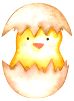 cartone animato dell'acquerello di pollo carino png