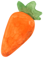 Carrot watercolor cartoon png