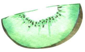 Kiwi-Aquarell-Handfarbe png