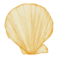 elemento de acuarela de verano png