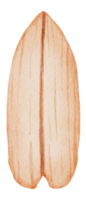 surfplank zomer aquarel png