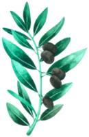 acuarela de elemento de hoja verde png