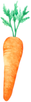 vegetabilisk akvarell handfärg png