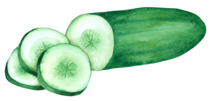 Vegetable watercolor hand paint png