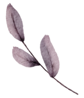 Leaf Element watercolor png