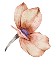 élément de fleur fleur de mariage aquarelle png