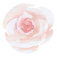 élément de fleur fleur de mariage aquarelle png