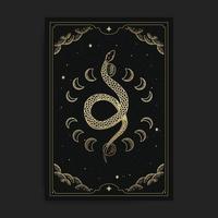 Snake with background moon phases vector