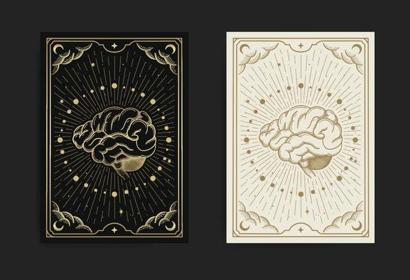 The brain connected to the cosmic universe
