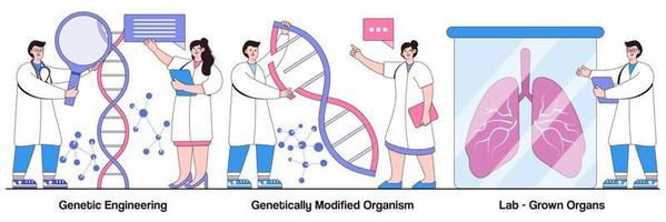 ingeniería genética, organismo genéticamente modificado, concepto de órganos cultivados en laboratorio con carácter de personas. conjunto de ilustraciones vectoriales de bioingeniería. manipulación de adn, células madre, metáfora de trasplante vector