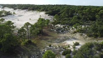 Sand Dunes Gulf of Mexico video