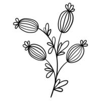 Doodle flower branch, cute and unusual bud, can be used to decorate postcards, business cards or as an element for design vector