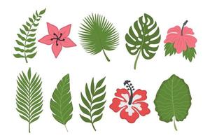 conjunto de flores y hojas tropicales. garabatear imágenes prediseñadas planas. Todos los objetos están repintados. vector