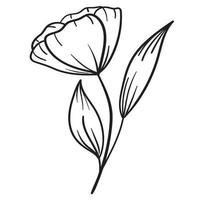 Doodle flower branch, cute and unusual bud, can be used to decorate postcards, business cards or as an element for design vector