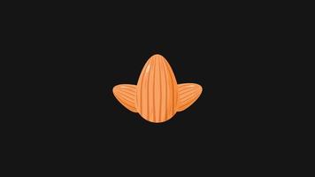 Almond Nuts icon motion graphic animation video with Alpha Channel, ransparent background.