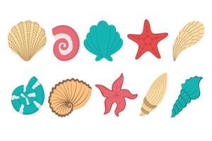 Tropical underwater shell. Doodle flat clipart. All objects are repainted. vector