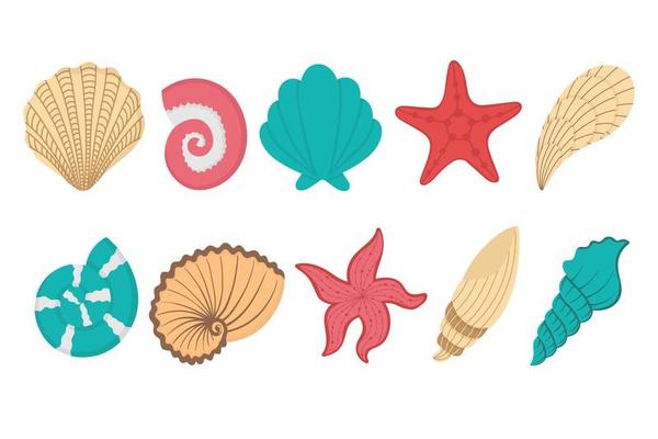 Tropical underwater shell. Doodle flat clipart. All objects are repainted.