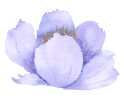 Violet Flower watercolor wedding flower png