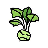 kohlrabi cabbage color icon vector illustration